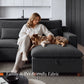 Halo Sectional Modular Sofa