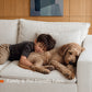 Halo Sectional Modular Sofa