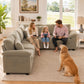 SpaceMax Sleeper Modular Sofa